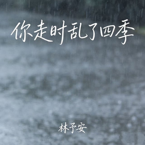 你走时乱了四季