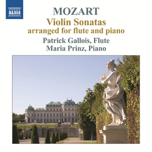 Violin Sonata No. 26 in B-Flat Major, K. 378 (arr. P. Gallois for flute and piano):I. Allegro moderato