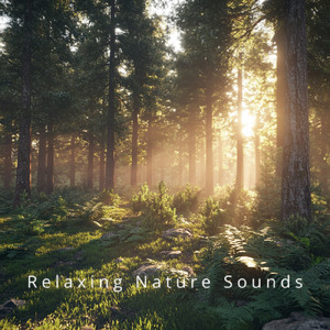 Complete Sleep Solution