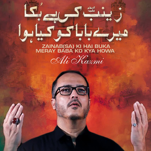 Zainab (SA) Ki Hai Buka Meray Baba Ko Kya Howa