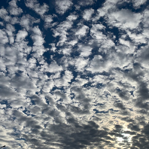 屈折 (feat. hideo)