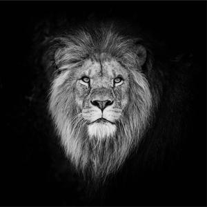 백수의 왕 (feat. Dreamer)