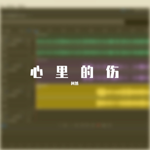 心里的伤.mp3