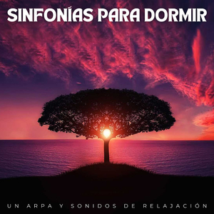 Sonfonía Del Sonido Relajado En El Sueño