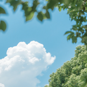 云淡风轻近午辰