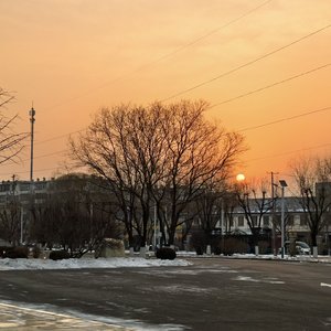 请路过我的明天remix