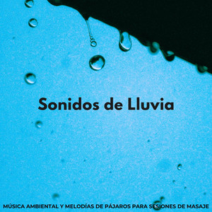 Ducha De Pájaros Tranquilos