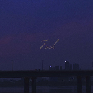 Fool