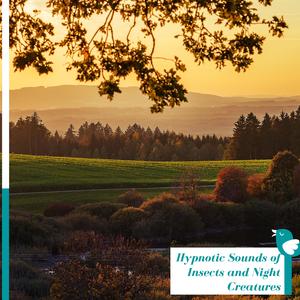 Enhance Concentration with Humming of Lizards