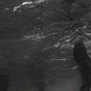 此 歌 曲 发 布 错 误 勿 听