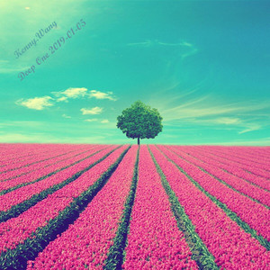 Kenny.Wang-2019.深度1.20190105（Kenny.Wang remix）