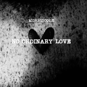 No Ordinary Love