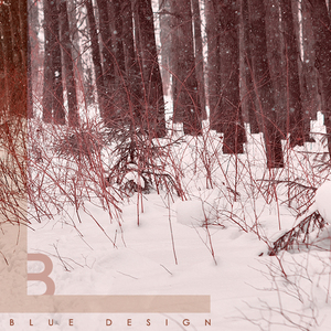 차디찬 겨울바람