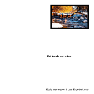 Det kunde vart värre