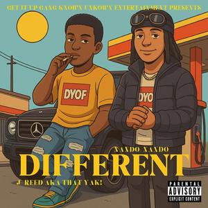 DIFFERENT (feat. Nando Nando)