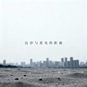 沉沙与星光的距离