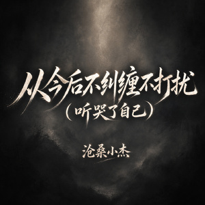 从今后不纠缠不打扰(听哭了自己)