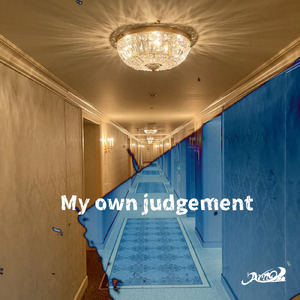 My own judgement