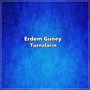 Turnaların