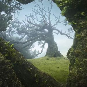 【FREE】“FondDream”toosii&kenrobb type beat