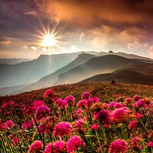 乌蒙韭菜花(词丁时光曲彭福平)_夜郎之音