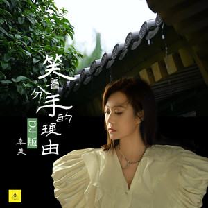 笑着分手的理由 (DJ苏平版)