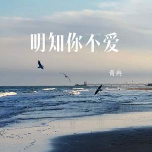 明知你不爱