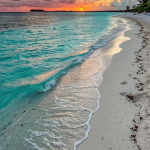 再逢岁月共清欢