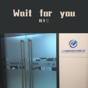 感谢你曾来过(remix)