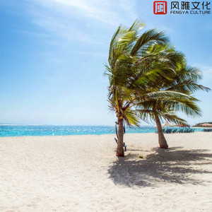 轻松旋律的夏季