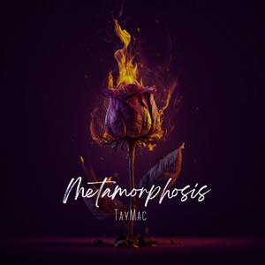 4Lifers (feat. 10$tacks)