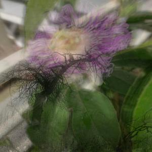 Tragedies (feat. Rin)