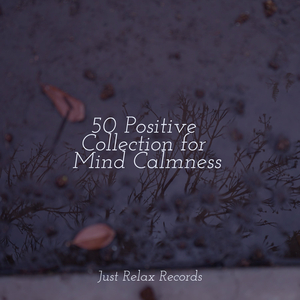 Revitalizing Rhythm Rush