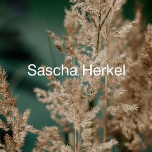 Erkläre mir dein Leben