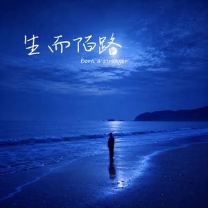 Born a Stranger（《生而陌路》施坦威钢琴版）