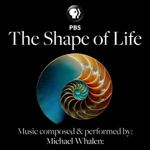 Nature's Similarites