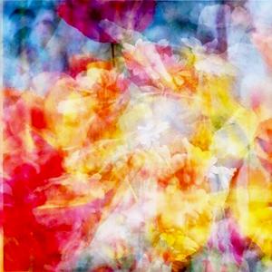 The Shop Window Scene