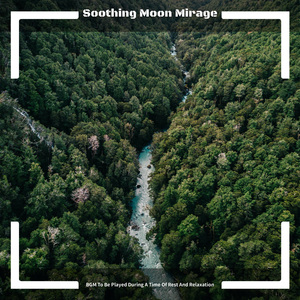 Soothing Music for the Senses