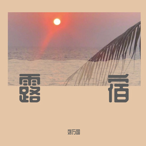 可惜不是你