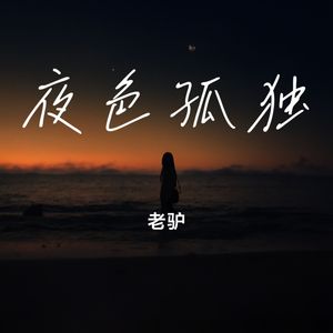 夜色孤独