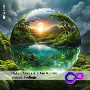 Unique Feelings (Radio Mix)