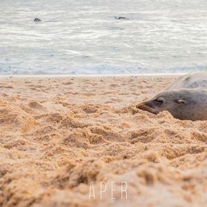 Aper (feat. Beatmund Noise)