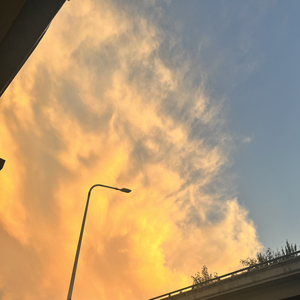 你眼里带着笑.mp3