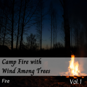 Loopable Crackling Fire