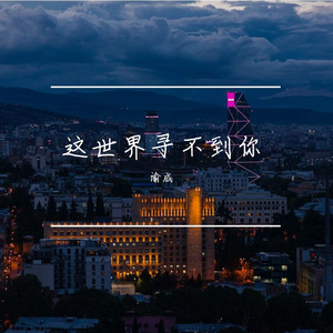 这世界寻不到你