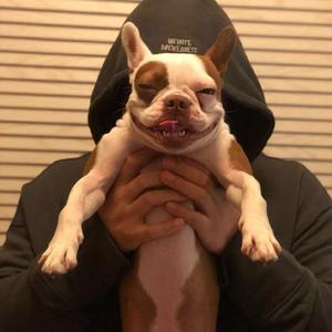 《有一种悲伤》