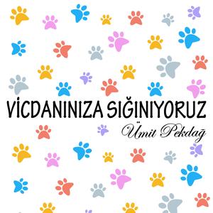 Vicdanınıza Sığınıyoruz