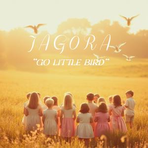 Go Little Bird