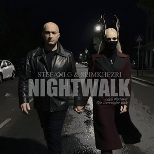 Nightwalk (I WANNA TAKE A NIGHTWALK Remix)