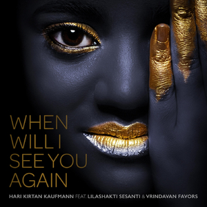 When Will I See You Again (feat. Vrindavan Favors & Lilashakti Sesanti)